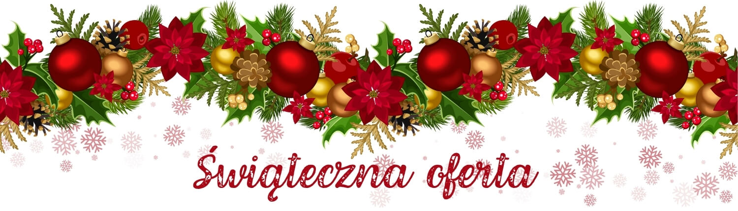 Świąteczna oferta TOP produktów
